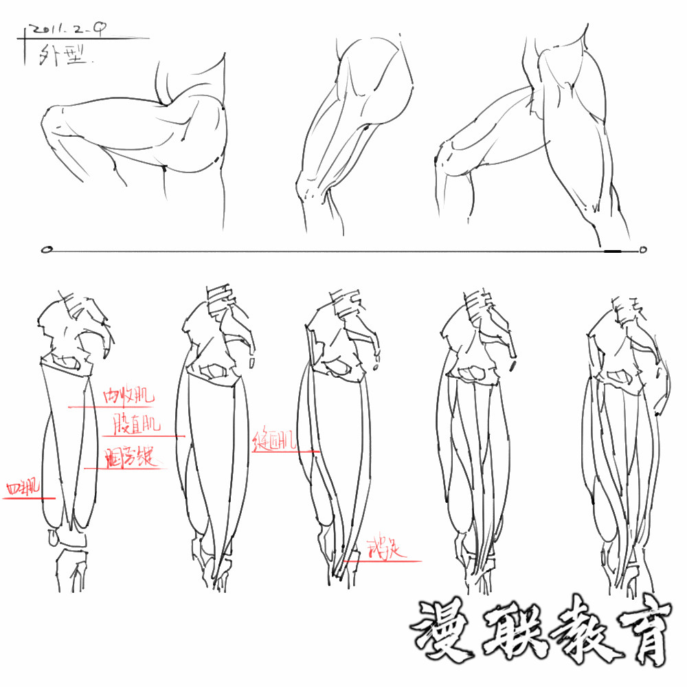 「動(dòng)漫設(shè)計(jì)素材」分享一波繪畫(huà)專用人體解剖素材 part 08 「動(dòng)漫設(shè)計(jì)素材」分享一波繪畫(huà)專用人體解剖素材 part 08