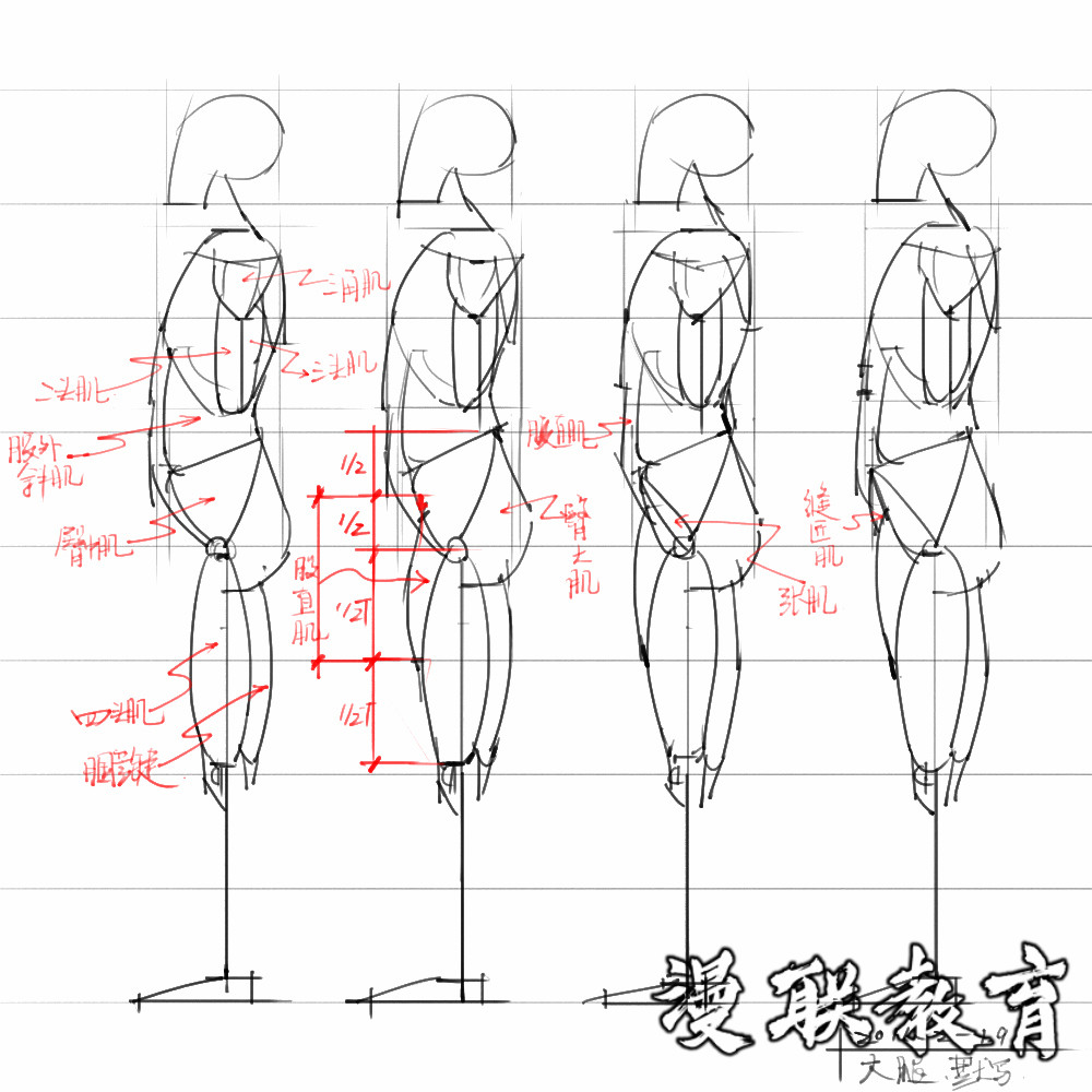 「動(dòng)漫設(shè)計(jì)素材」分享一波繪畫(huà)專用人體解剖素材 part 08 「動(dòng)漫設(shè)計(jì)素材」分享一波繪畫(huà)專用人體解剖素材 part 08