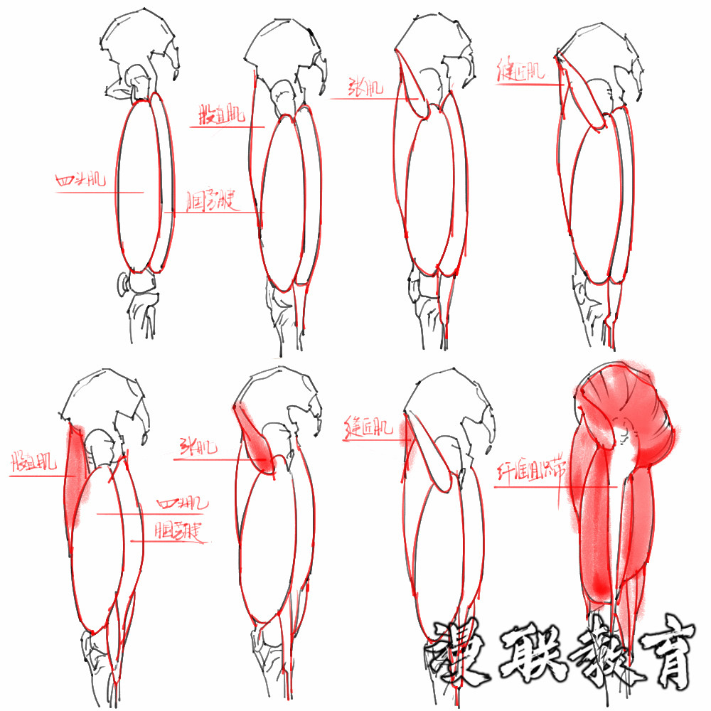 「動(dòng)漫設(shè)計(jì)素材」分享一波繪畫(huà)專用人體解剖素材 part 08 「動(dòng)漫設(shè)計(jì)素材」分享一波繪畫(huà)專用人體解剖素材 part 08