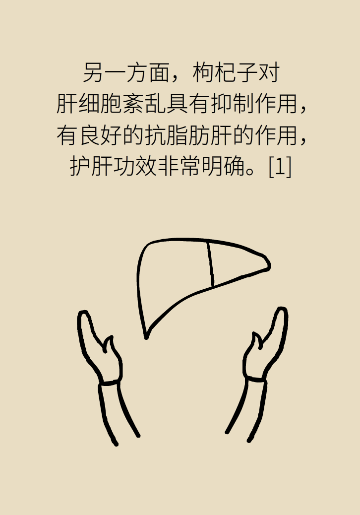 成天喝著枸杞茶，它真的適合你嗎？