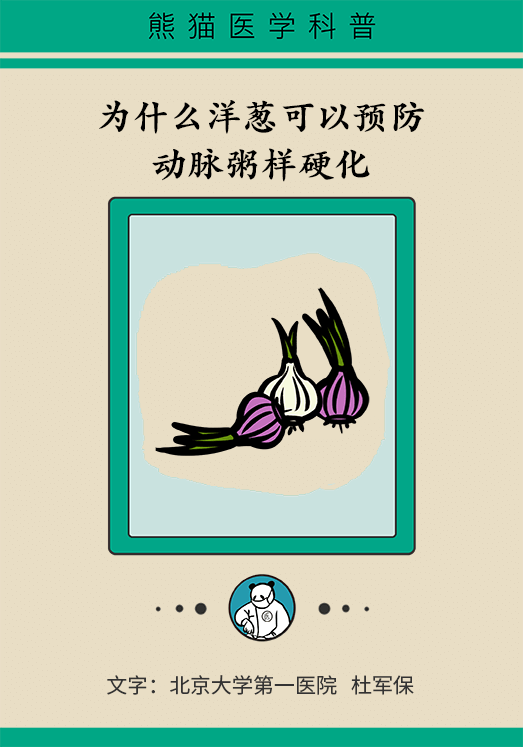 洋蔥可以預防動脈硬化，是真的嗎？