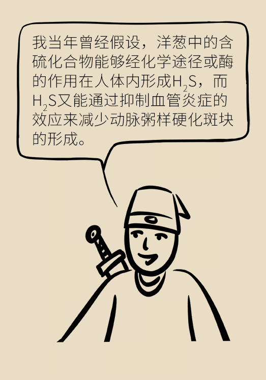 洋蔥可以預防動脈硬化，是真的嗎？