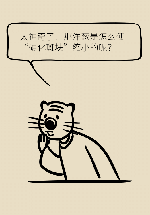 洋蔥可以預防動脈硬化，是真的嗎？