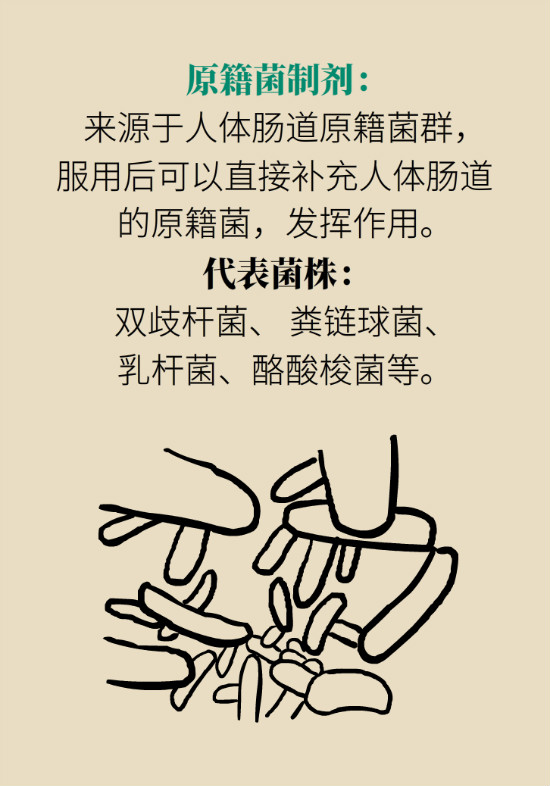 益生菌真能提高免疫力嗎？專家提醒注意這8點(diǎn)