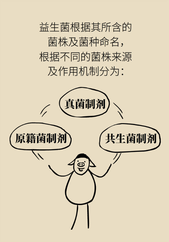 益生菌真能提高免疫力嗎？專家提醒注意這8點(diǎn)
