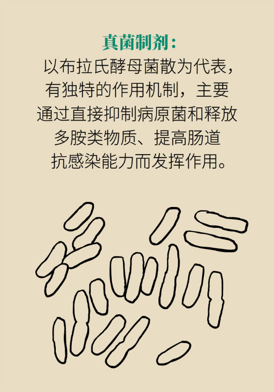 益生菌真能提高免疫力嗎？專家提醒注意這8點(diǎn)