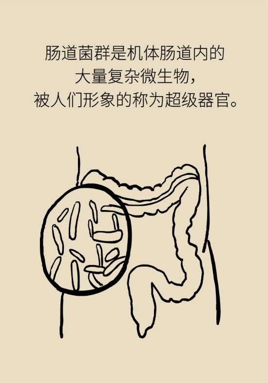 益生菌真能提高免疫力嗎？專家提醒注意這8點(diǎn)