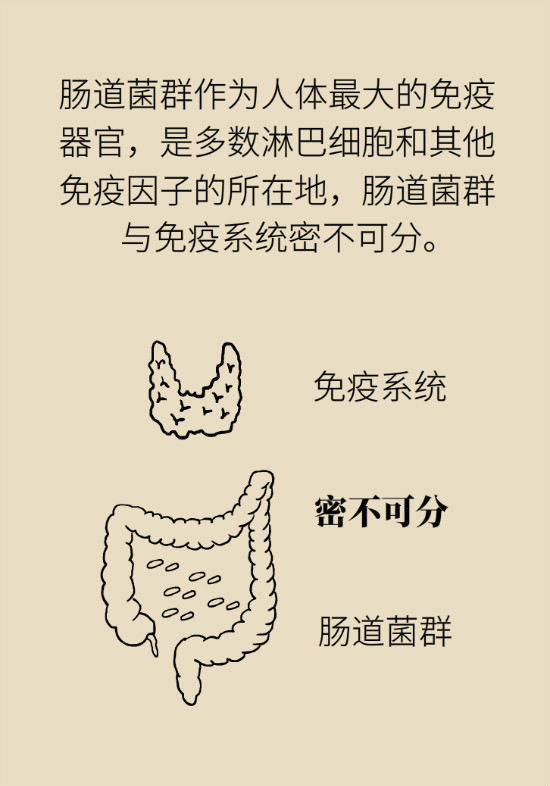 益生菌真能提高免疫力嗎？專家提醒注意這8點(diǎn)