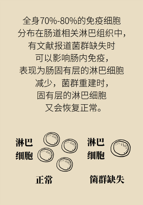 益生菌真能提高免疫力嗎？專家提醒注意這8點(diǎn)
