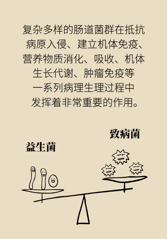 益生菌真能提高免疫力嗎？專家提醒注意這8點(diǎn)