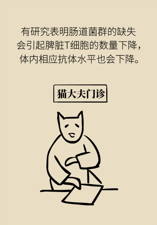 益生菌真能提高免疫力嗎？專家提醒注意這8點(diǎn)