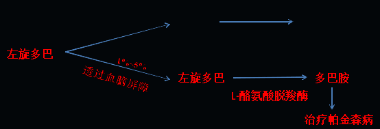 同樣的藥，為什么對(duì)他有效卻對(duì)你沒(méi)效果，可能得問(wèn)腸道菌群