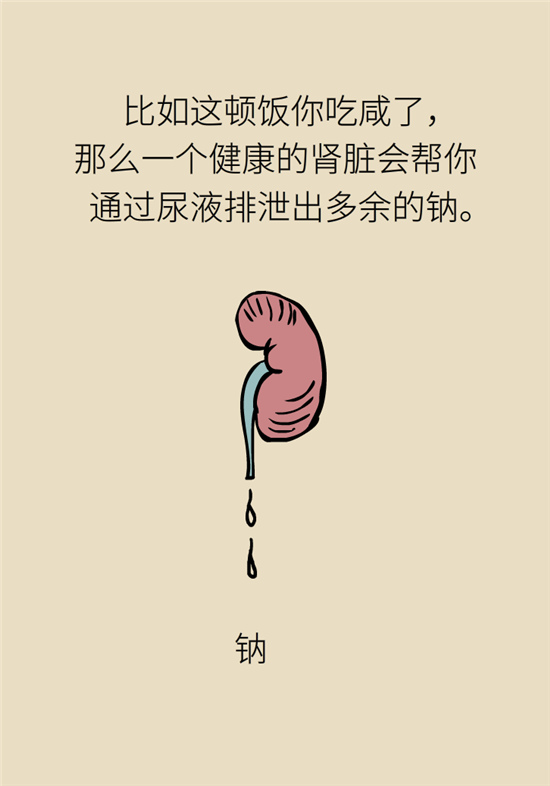 經(jīng)常憋尿會得急性腎炎？