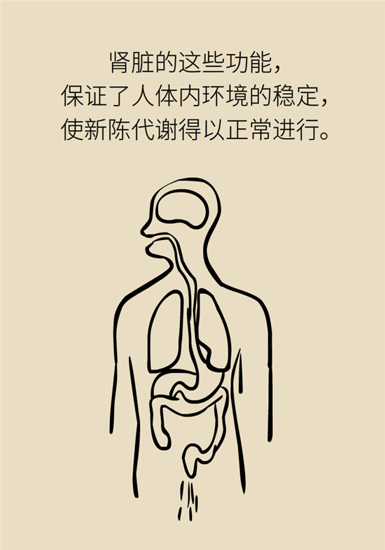 經(jīng)常憋尿會得急性腎炎？