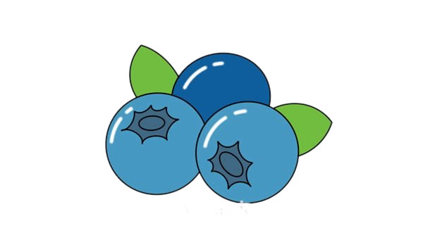 藍(lán)莓怎么畫(huà)簡(jiǎn)單又好看 藍(lán)莓簡(jiǎn)筆畫(huà)步驟圖解教程