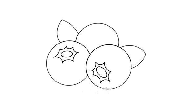 藍(lán)莓怎么畫(huà)簡(jiǎn)單又好看 藍(lán)莓簡(jiǎn)筆畫(huà)步驟圖解教程