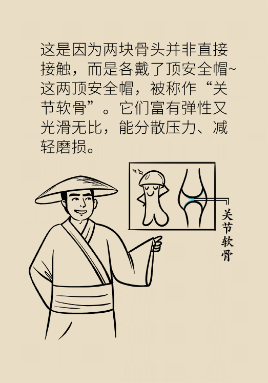 人老關(guān)節(jié)也會老嗎？