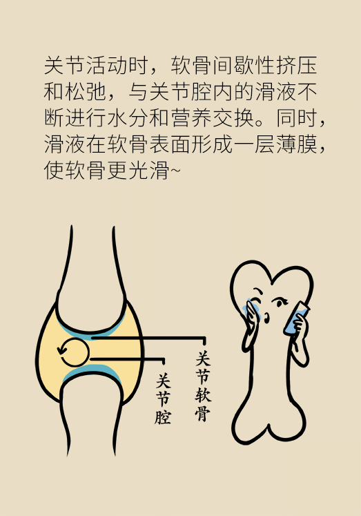 人老關(guān)節(jié)也會老嗎？