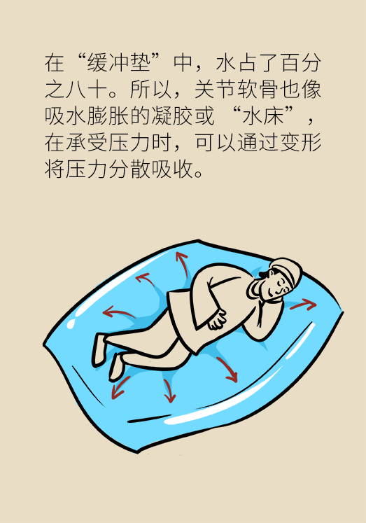 人老關(guān)節(jié)也會老嗎？