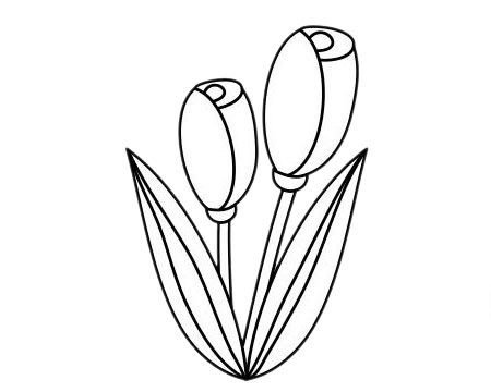 郁金香的畫(huà)法簡(jiǎn)筆畫(huà)