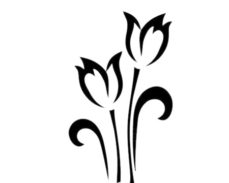 郁金香簡(jiǎn)單畫(huà)法