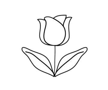 郁金香簡(jiǎn)筆畫(huà)圖片