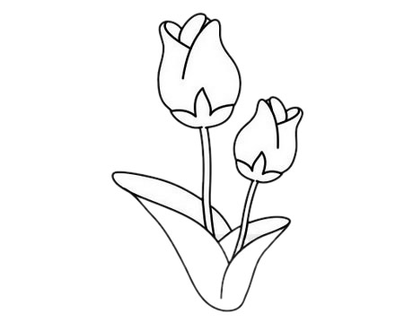 郁金香怎么畫(huà)簡(jiǎn)單而好看