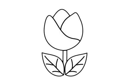 郁金香簡(jiǎn)筆畫(huà)圖片大全作品二