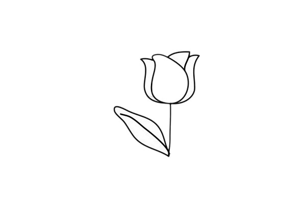 一步一步教我畫(huà)郁金香