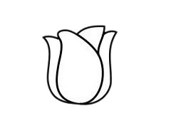郁金香簡(jiǎn)筆畫(huà)圖片