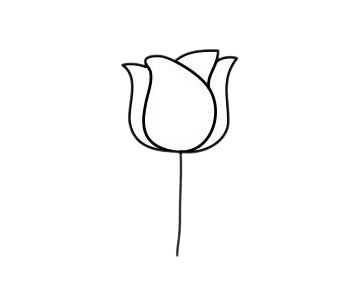 郁金香簡(jiǎn)筆畫(huà)圖片