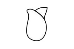 郁金香簡(jiǎn)筆畫(huà)圖片