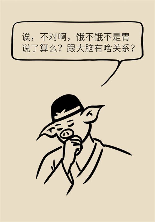節(jié)食減肥會(huì)餓得脾氣暴躁？