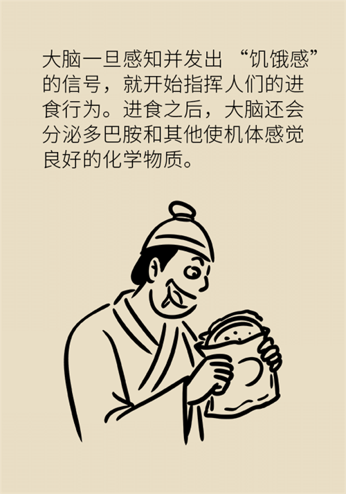 節(jié)食減肥會(huì)餓得脾氣暴躁？