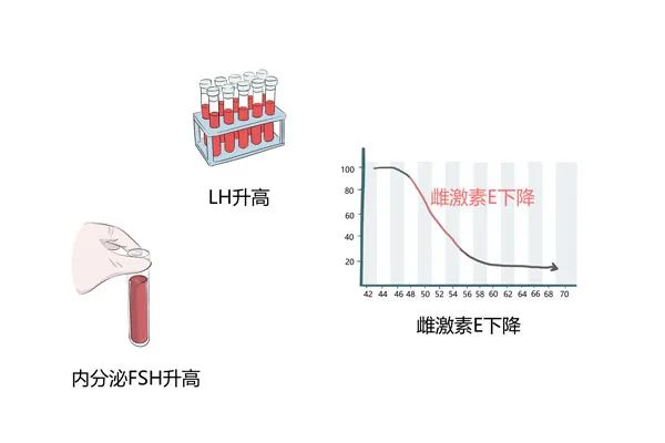 更年期科普動漫制作