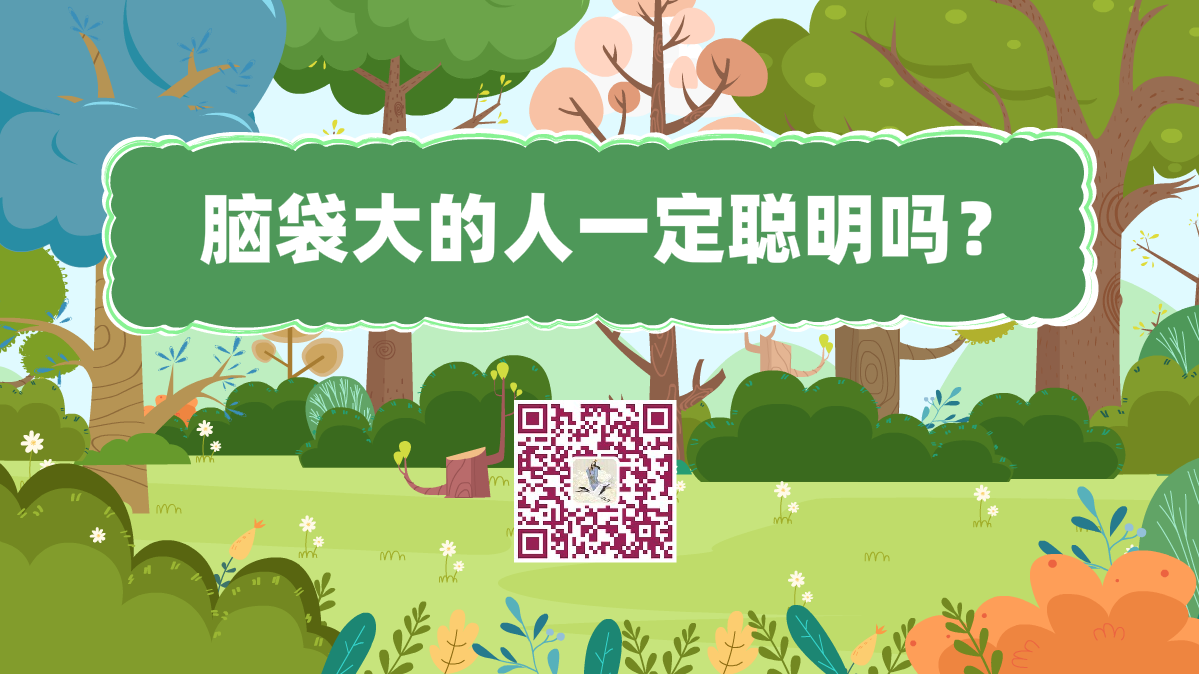 十萬(wàn)個(gè)為什么標(biāo)題(腦袋大的人一定聰明嗎)1200.png 十萬(wàn)個(gè)為什么標(biāo)題(腦袋大的人一定聰明嗎)1200.png
