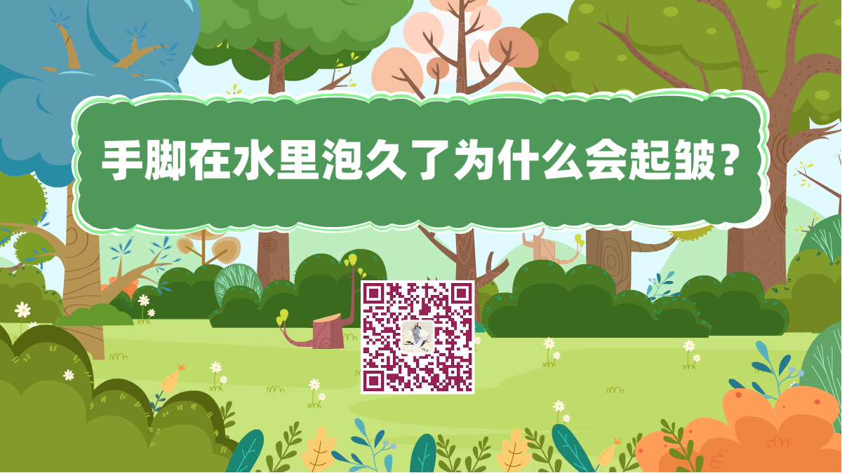 十萬個為什么標題(手指在水里泡久了,為什么會起皺)1200.png 十萬個為什么標題(手指在水里泡久了,為什么會起皺)1200.png