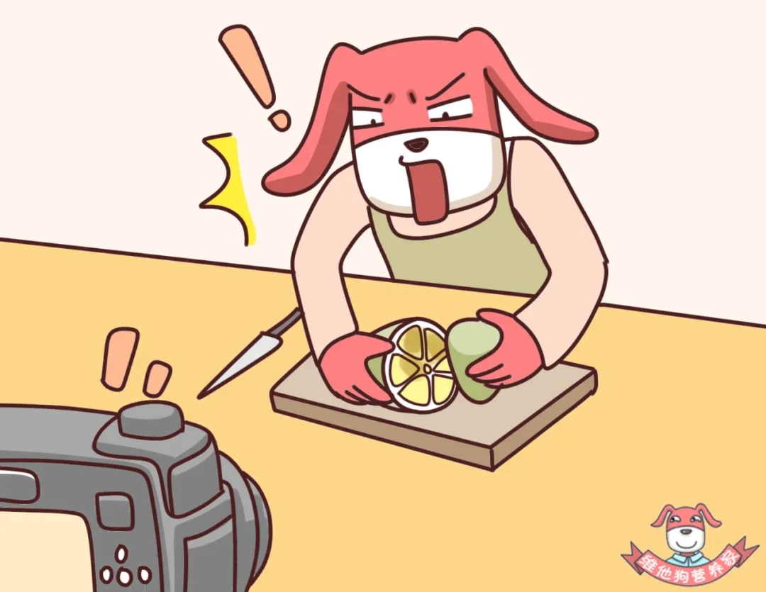 水果科普動漫制作