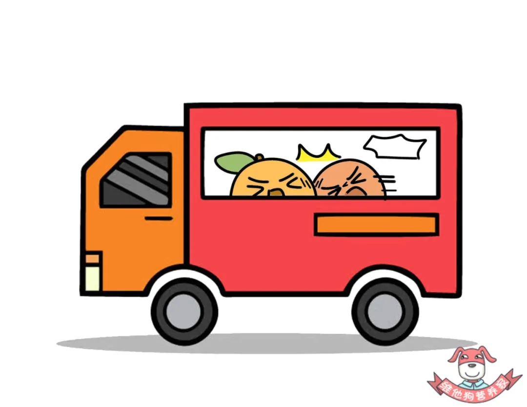 水果科普動漫制作