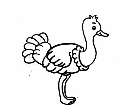 鴕鳥簡(jiǎn)筆畫怎么畫簡(jiǎn)單又好看 帶顏色 步驟圖解