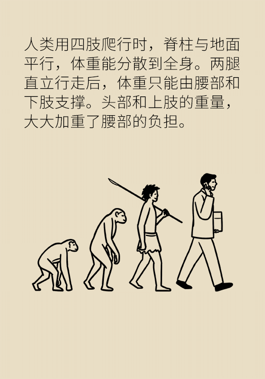 久坐久站致腰肌勞損？六招教你戰(zhàn)勝腰痛