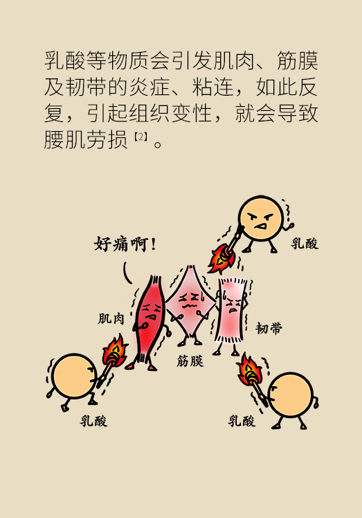 久坐久站致腰肌勞損？六招教你戰(zhàn)勝腰痛