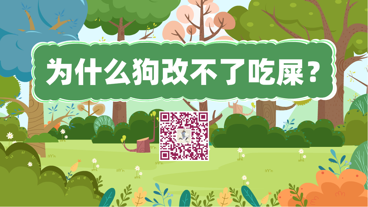 十萬個為什么標(biāo)題(為什么狗改不了吃屎)1200.png 十萬個為什么標(biāo)題(為什么狗改不了吃屎)1200.png