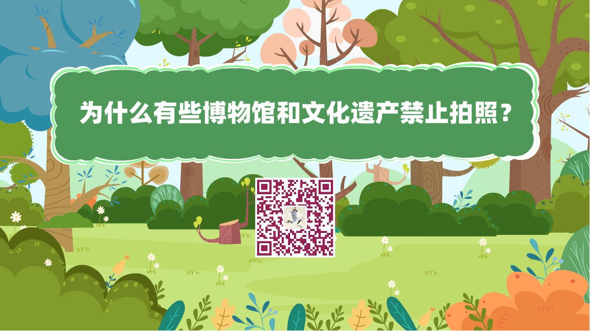 十萬個為什么標題(為什么有些博物館和文化遺產(chǎn)禁止拍照)1200.png 十萬個為什么標題(為什么有些博物館和文化遺產(chǎn)禁止拍照)1200.png