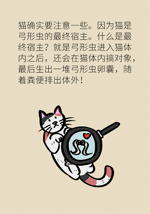 懷孕了不能養(yǎng)貓狗？別再信這些謠言了