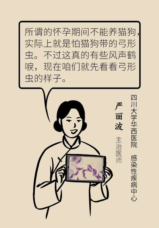 懷孕了不能養(yǎng)貓狗？別再信這些謠言了