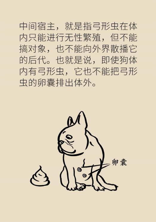 懷孕了不能養(yǎng)貓狗？別再信這些謠言了