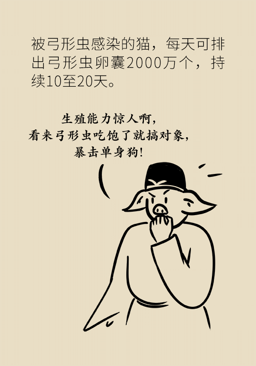 懷孕了不能養(yǎng)貓狗？別再信這些謠言了