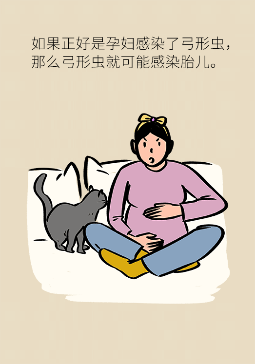 懷孕了不能養(yǎng)貓狗？別再信這些謠言了