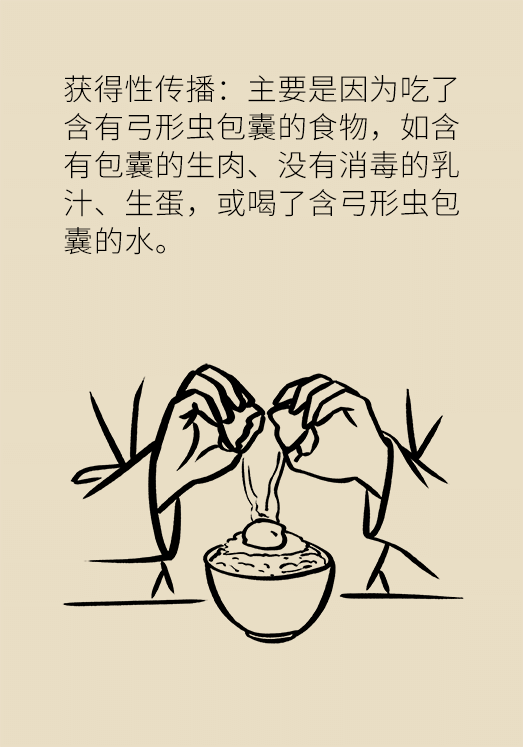 懷孕了不能養(yǎng)貓狗？別再信這些謠言了